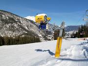 Beschneiung am Marienberg