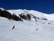Pisten an der Speiereck-Gipfelbahn