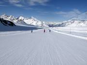 Leichte Gletscherpiste Gandegg