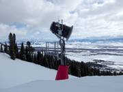 Schneekanone im Skigebiet Jackson Hole