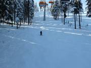 Inoffizielle Buckelpiste unterhalb der Sesselbahn