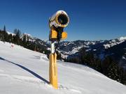 Leistungsstarke Beschneiung