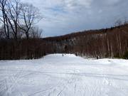 Leichte Pisten Nansen