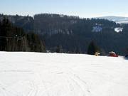 Der beliebteste Hang: die Obere Postwiese