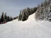 Sport- und Familenabfahrt