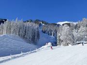 Die schwere Trassabfahrt