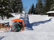 Höss-Förderbänder - Förderband/Zauberteppich mit Überdachung
