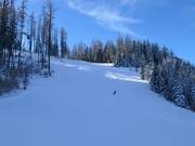 Weltcupabfahrt Hannes Trinkl