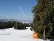 Umfassende Beschneiung in Pamporovo