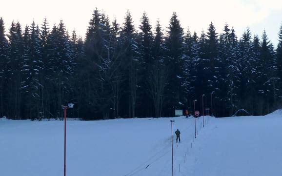 Skifahren in Wildenthal
