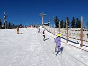 ÜL Babylift - Seillift/Babylift mit niederer Seilführung