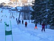 Bögrainlift - Tellerlift