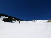 Abfahrten in der Larkspur Bowl