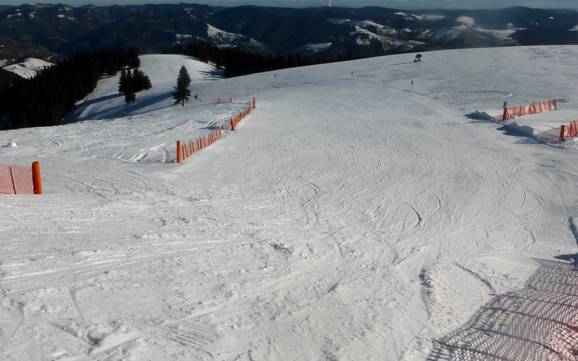 Skigebiete für Anfänger im Wiesental – Anfänger Belchen