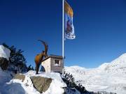 Tipp für die Kleinen  - Sektor 02: Jägerpfad