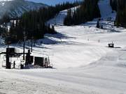 Anfängergelände am Molly Hogan Lift