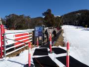 Wombats Snow Runner - Förderband/Zauberteppich