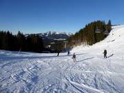 Leichte Piste Autobahn mit Sender Express