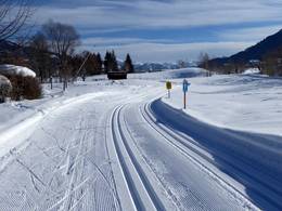St. Johann in Tirol/Oberndorf – Harschbichl