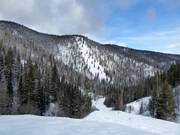 Blick zum Alder Point