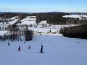 Piste am Oedberglift