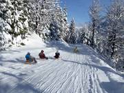 Tipp für die Kleinen  - Rodelbahn