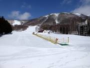Förderband der Skischule am West Mountain