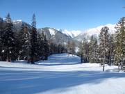 Abfahrt Schober's Dream in der Sun Bowl