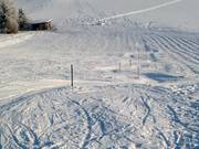 Ein kleiner Slalom ist gesteckt