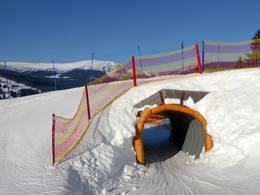 Pec pod Sněžkou (Petzer)