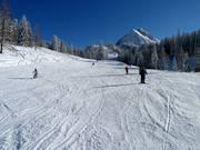 Abfahrt Nr. 11 Riedlkar