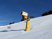Leistungsfähige Schneekanone im Skigebiet Klausberg