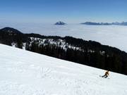 Blick zum Grünten über dem Nebelmeer