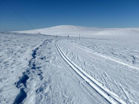 Langlauf Nordschweden – Langlauf Dundret Lapland – Gällivare