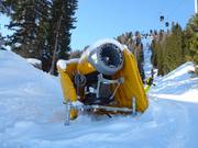 Leistungsfähige Beschneiung