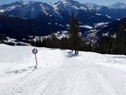 Schlittelweg in Bellwald