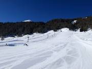 Leichte Piste am Tellerlift Amerikan