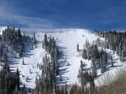 Sehr steile Daly Bowl