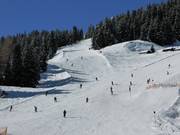 Abfahrten an der Alblittbahn
