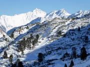 Rückbringerlift - Schlepplift mit T-Bügel/Anker