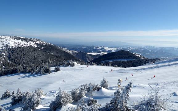 Šumadija und Westserbien: Testberichte von Skigebieten – Testbericht Kopaonik