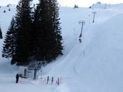 Javor - Schlepplift mit T-Bügel/Anker