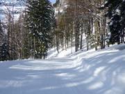 Leichter Skiweg Salzberg