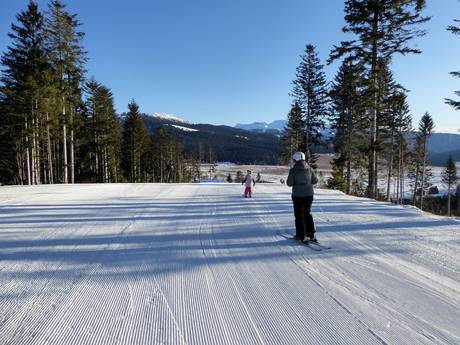 Skigebiete für Anfänger auf der Alpe Cimbra – Anfänger Lavarone