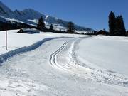 Höhenloipe Sellamatt/Sagenweg (Mittelstation Alt St. Johann)