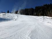 Schwere Piste Heimalm-Rauris