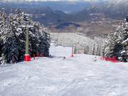 Mittelschwere Piste Costabella