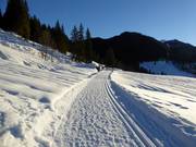 Valepper Almen Loipen am Spitzingsee