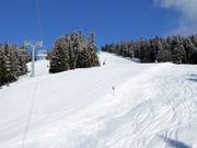 Peheimabfahrt FIS Strecke homologiert