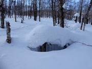 Es gibt immer genügend Schnee im Skigebiet Rusutsu